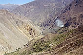 Colca Canyon 